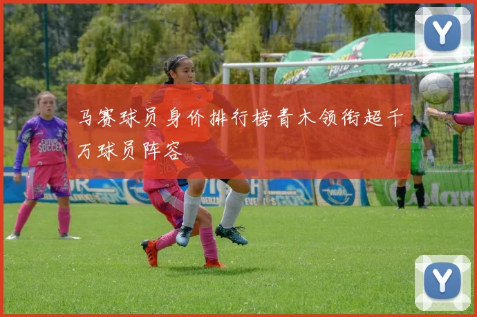 马赛球员身价排行榜青木领衔超千万球员阵容