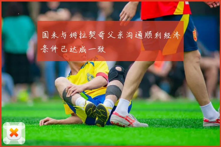 国米与姆拉契奇父亲沟通顺利经济条件已达成一致