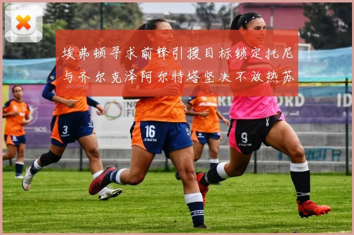 埃弗顿寻求前锋引援目标锁定托尼与齐尔克泽阿尔特塔坚决不放热苏斯