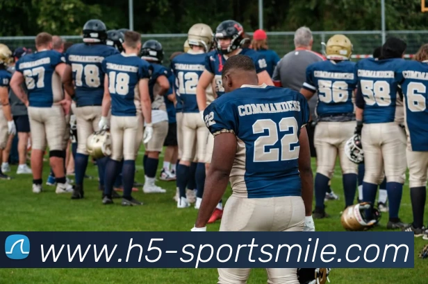 App Interface Preview