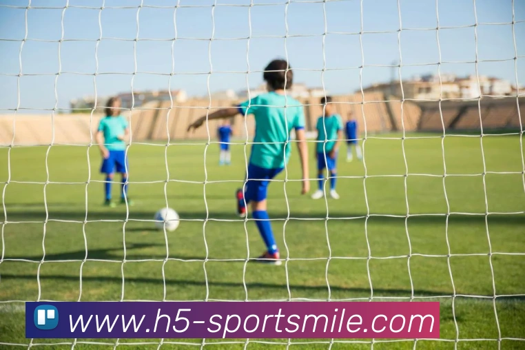 米乐体育APP 封面图